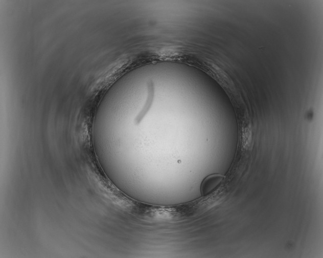 X0000115770618200911271142