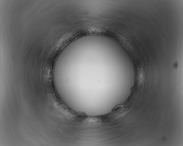 X0000115770619200911271142