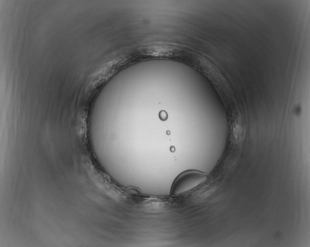 X0000115770620200911271142