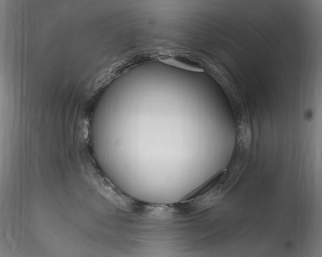 X0000115770621200911271142