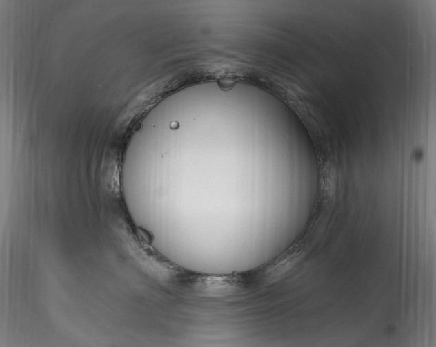 X0000115770622200911271142