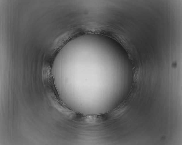 X0000115770623200911271142