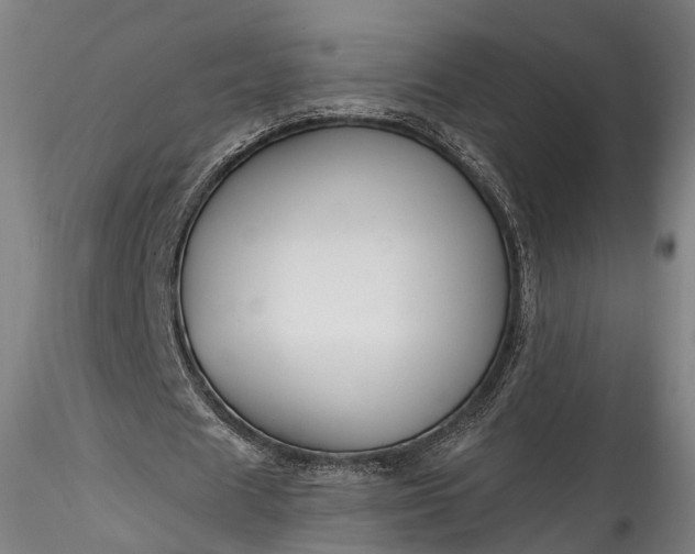 X0000115770625200911271141