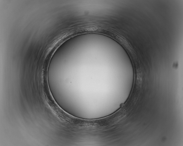 X0000115770626200911271141