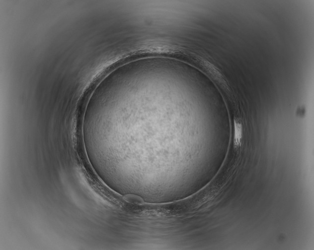 X0000115770627200911271141