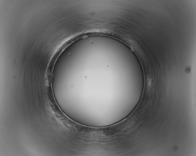 X0000115770628200911271141