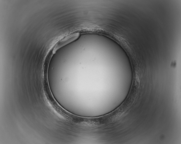 X0000115770630200911271141