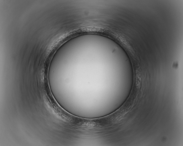 X0000115770631200911271141