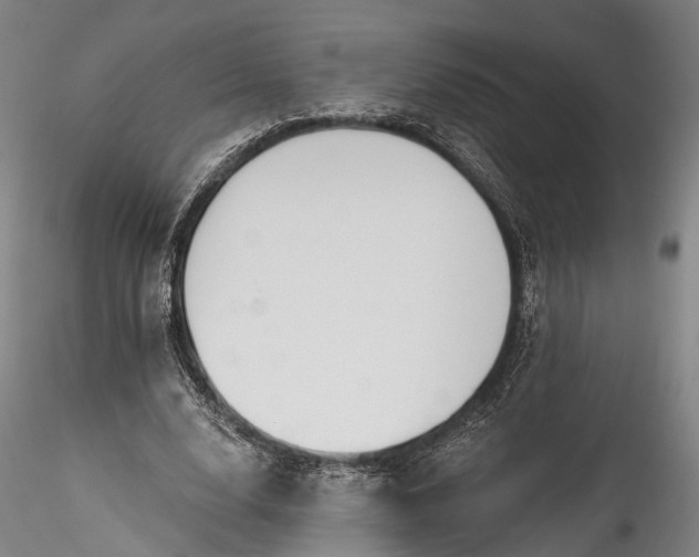 X0000115770632200911271141