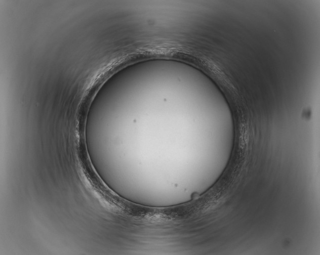 X0000115770634200911271141