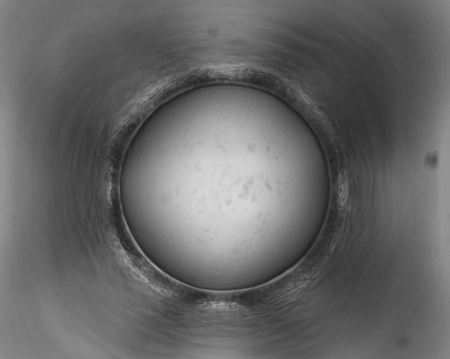 X0000115770637200911271141