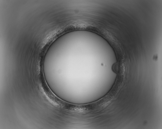 X0000115770638200911271141