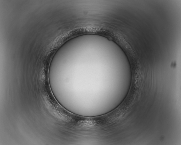 X0000115770639200911271141