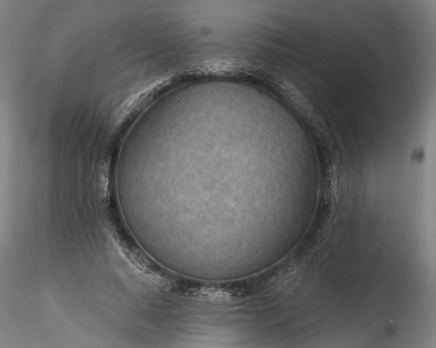 X0000115770640200911271141