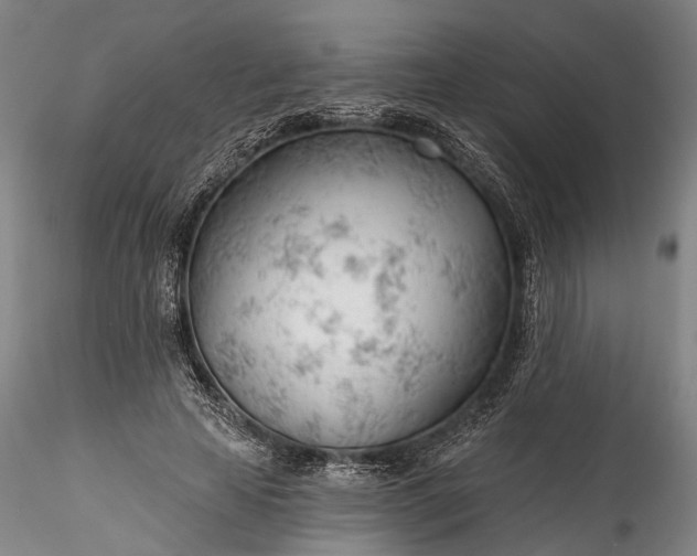 X0000115770641200911271141