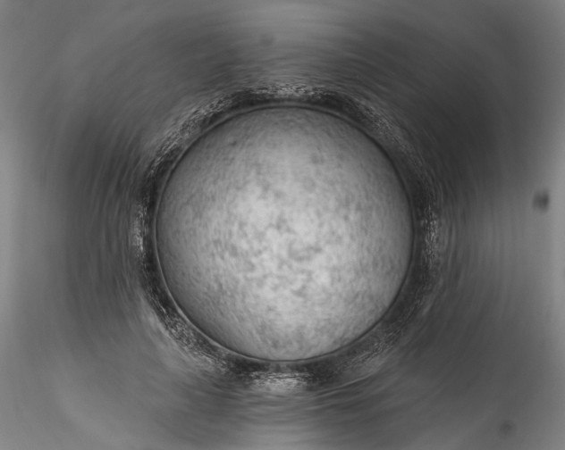 X0000115770643200911271141