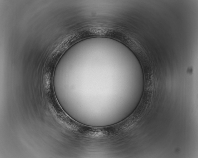 X0000115770646200911271142