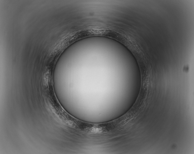 X0000115770647200911271142