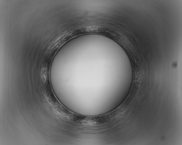 X0000115770648200911271142