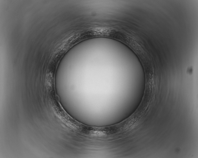 X0000115770649200911271142