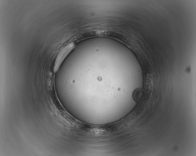 X0000115770650200911271142