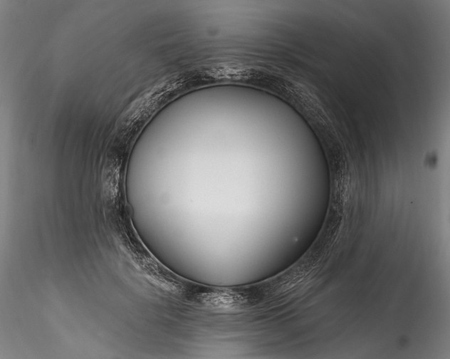 X0000115770652200911271142