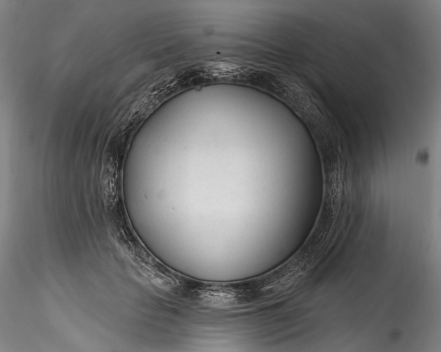 X0000115770653200911271142