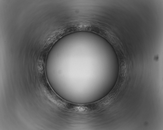 X0000115770654200911271142