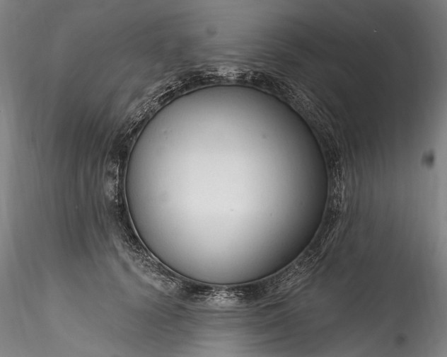 X0000115770656200911271142