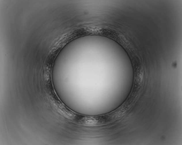 X0000115770658200911271142