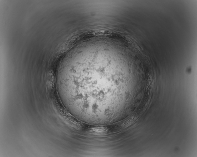 X0000115770659200911271142