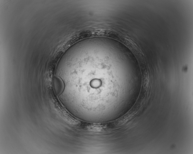 X0000115770661200911271142