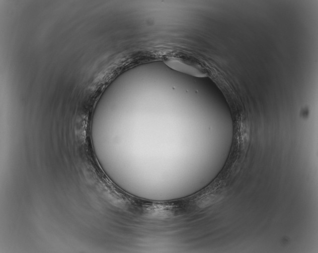 X0000115770664200911271142