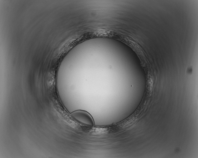 X0000115770665200911271142