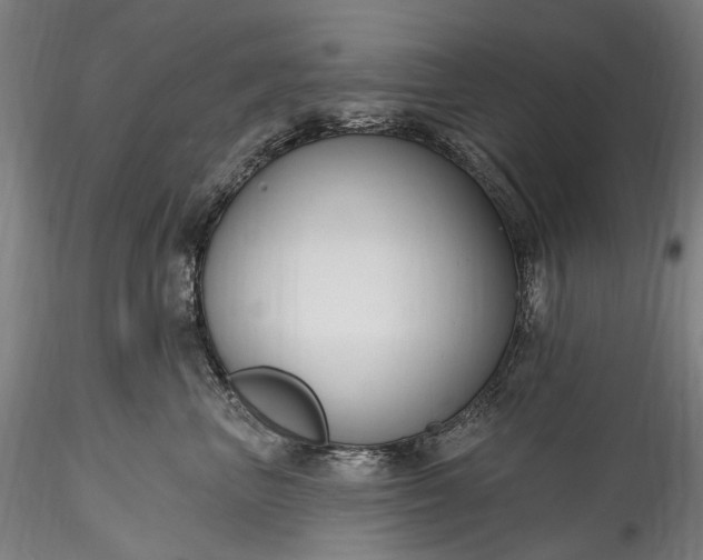 X0000115770667200911271142