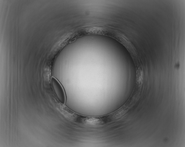 X0000115770669200911271142