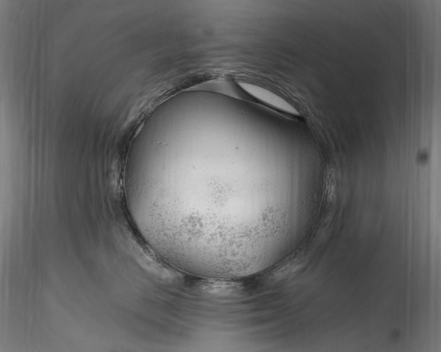 X0000115770670200911271142