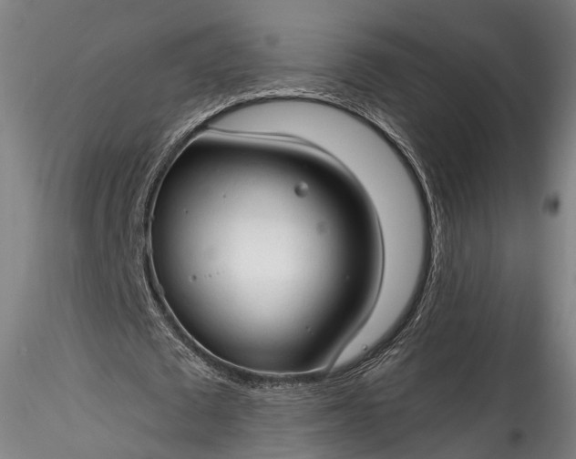 X0000115770673200911271141