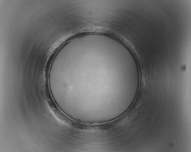 X0000115770674200911271141