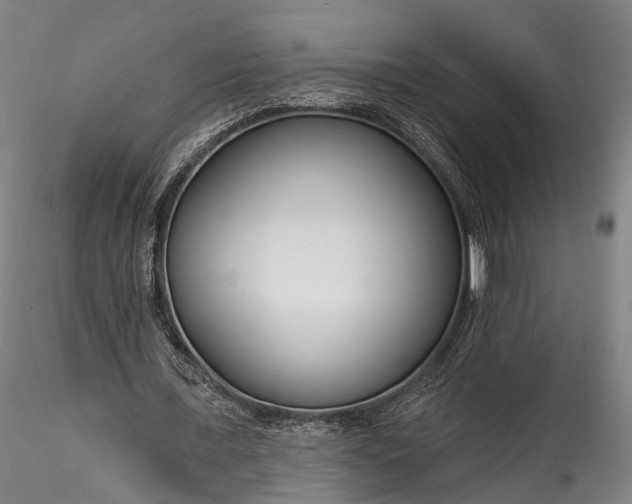 X0000115770675200911271141