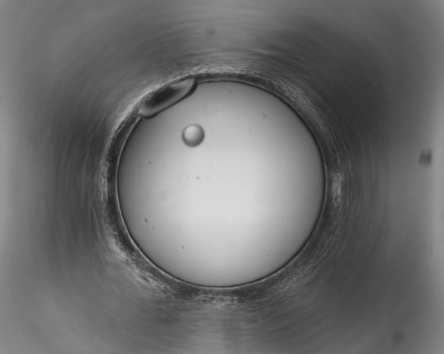 X0000115770676200911271141