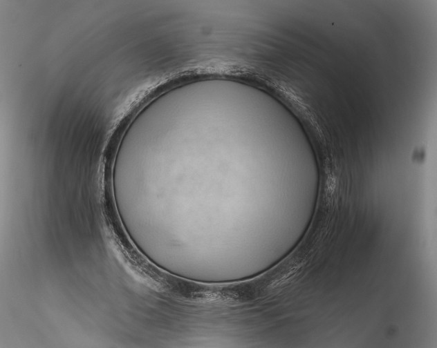 X0000115770678200911271141