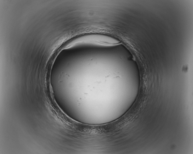 X0000115770679200911271141