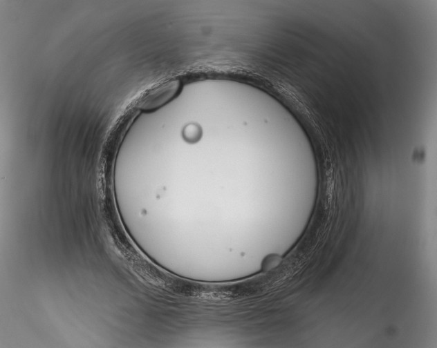 X0000115770680200911271141