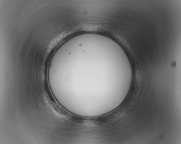 X0000115770682200911271141