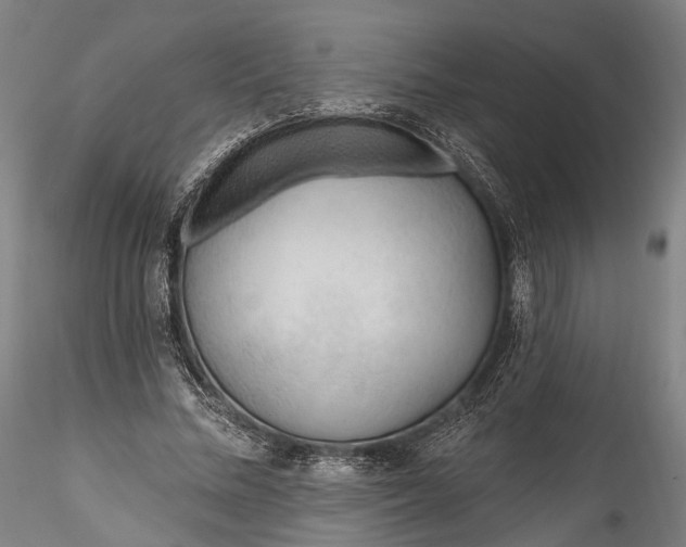 X0000115770684200911271141