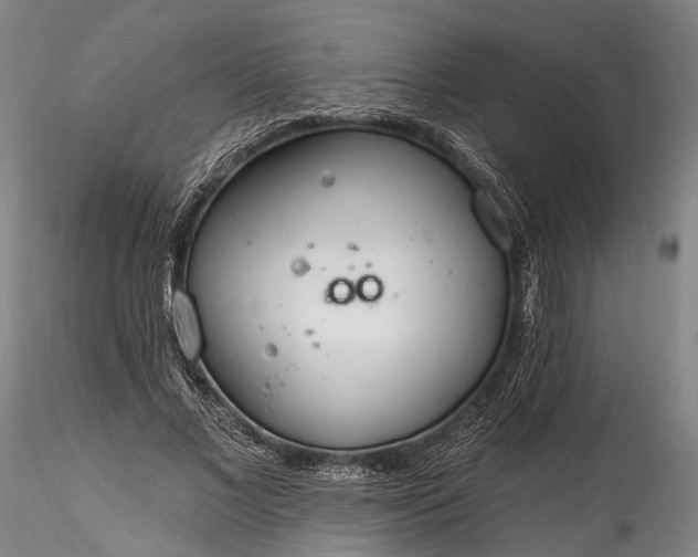 X0000115770685200911271141