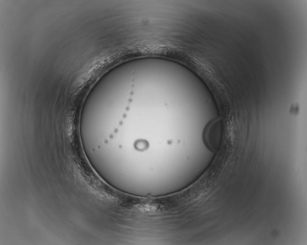 X0000115770687200911271141