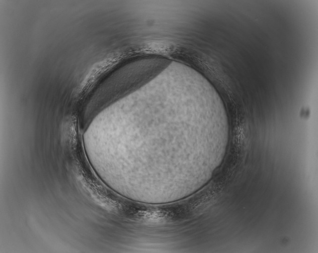 X0000115770688200911271141