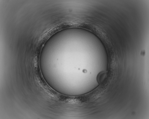 X0000115770689200911271141